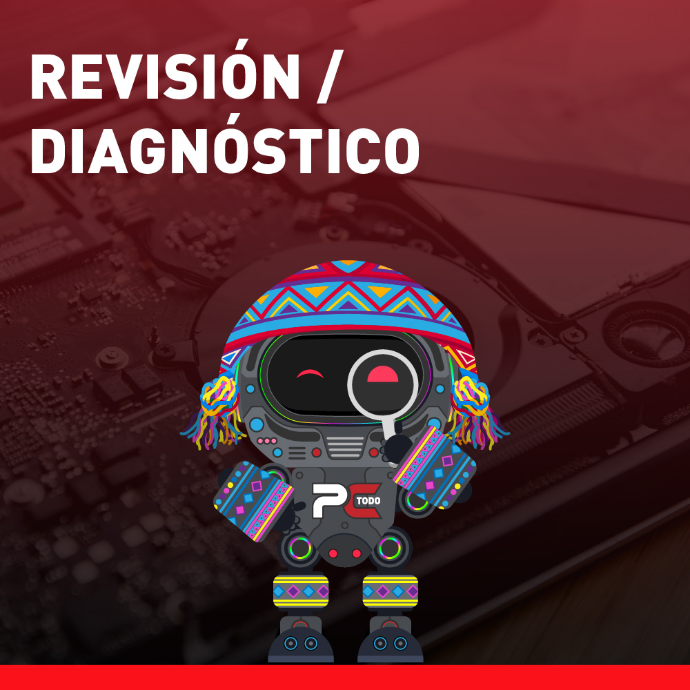 Revisión / Diagnóstico 