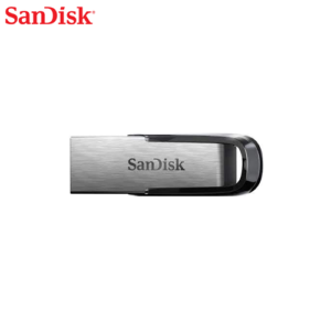 SanDisk USB – 256 GB